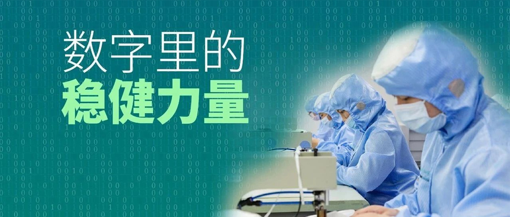 数字里的yl6809永利实力：行动胜于口号，，，效果兑现允许！