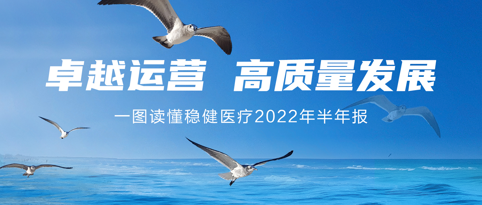 一图读懂yl6809永利2022年半年报