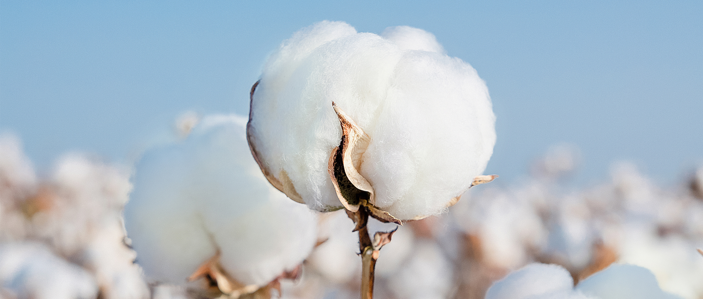 一图读懂yl6809永利集团2024年度ESG报告